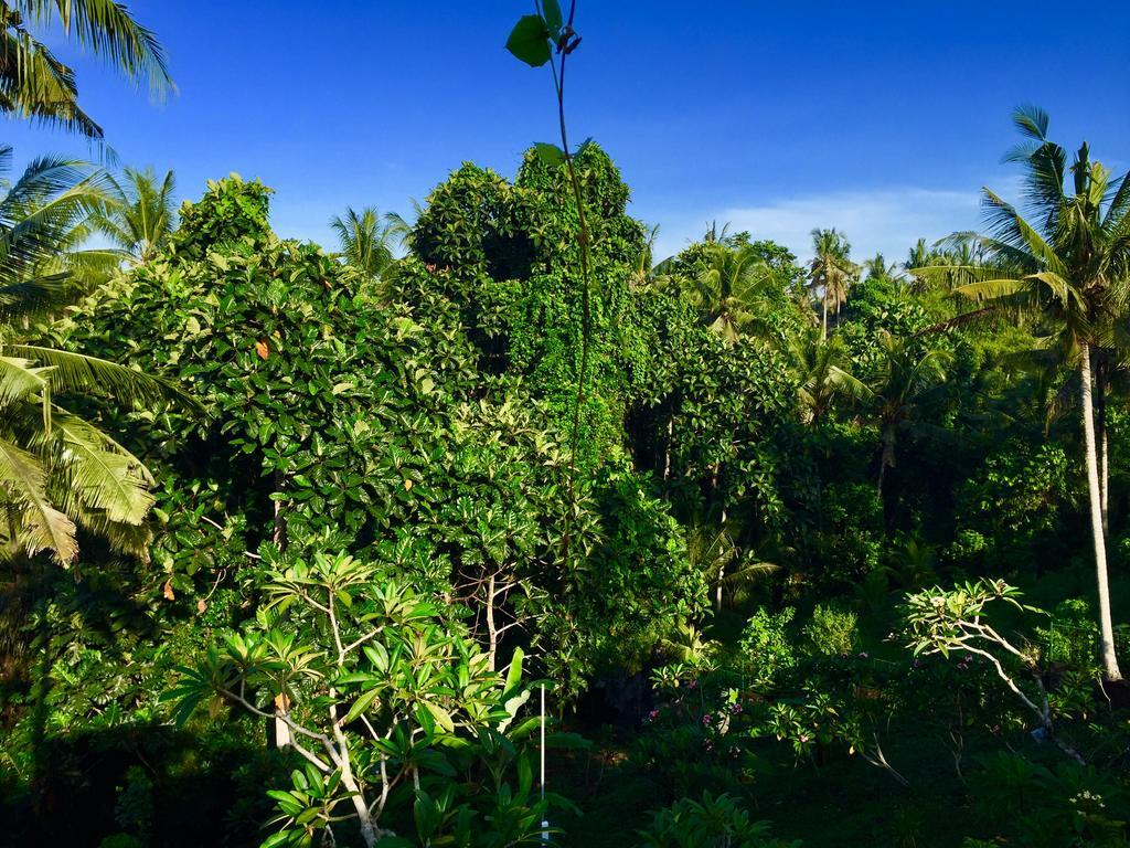 Tirta Arum Ubud Eksteriør bilde